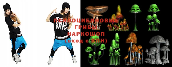 экстази Гусев