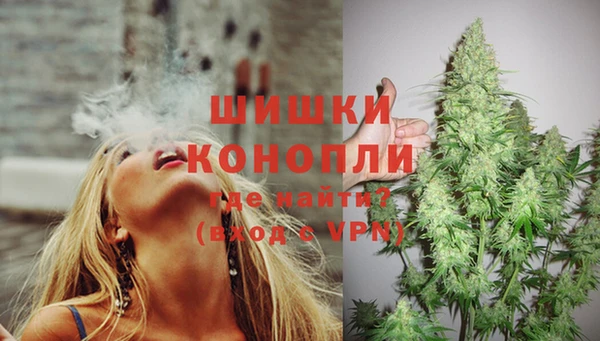 бошки Гусь-Хрустальный