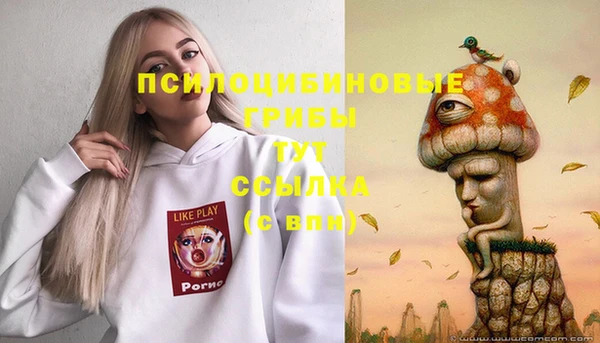 бошки Гусь-Хрустальный