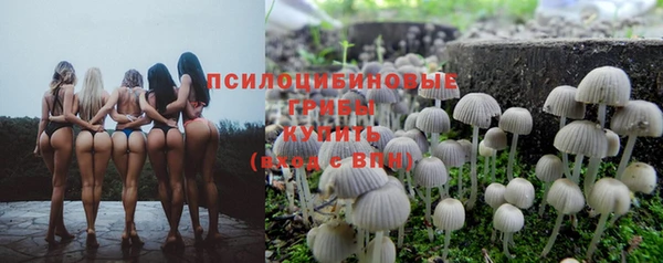 2c-b Гусиноозёрск