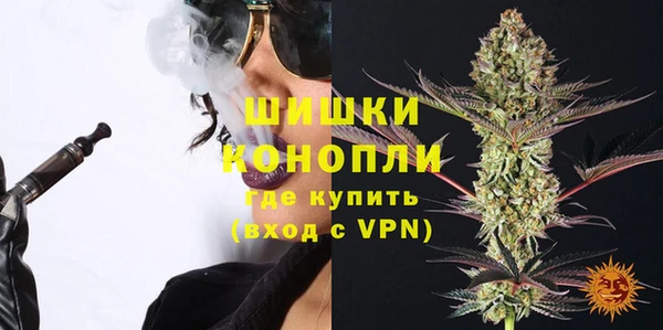 экстази Гусев