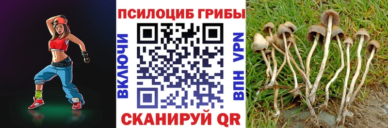 Псилоцибиновые грибы MAGIC MUSHROOMS  купить  сайты  Меленки 